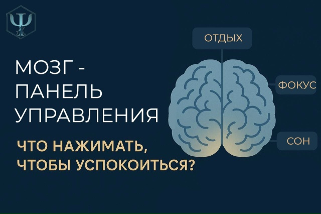 Мозг — панель управления. Что нажать, чтобы успокоиться?